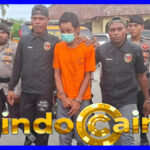 Peristiwa Kasus Pembunuhan Disertai Mutilasi Di Manokwari