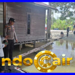 Nenek Ernawati Bertarung Lawan Buaya Ganas Demi Cucu