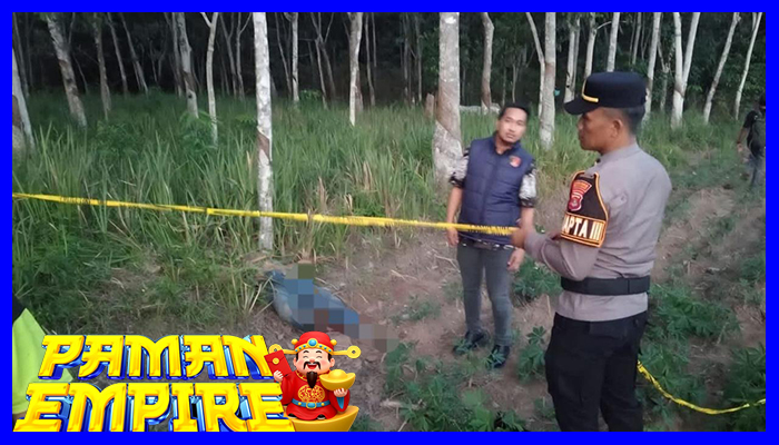 Pria Dibunuh Tetangganya Di Kebun Sawit Tulang Bawang