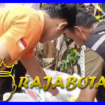 Wanita Muda Ditemukan Tewas Mengenaskan Dalam Boks Plastik