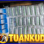 Kurir 15 Ribu Obat Terlarang Diringkus Di Sukabumi